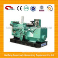 CE genehmigt Preis Diesel Generator 15kva